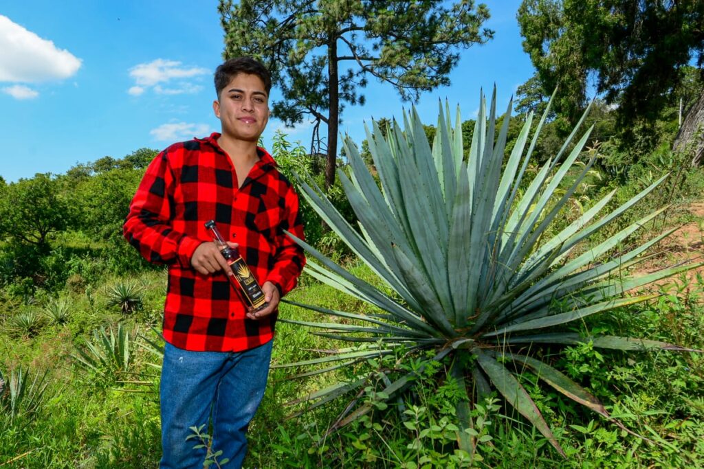Estado de México celebra el Día Mundial del Mezcal impulsando su tradición y producción artesanal